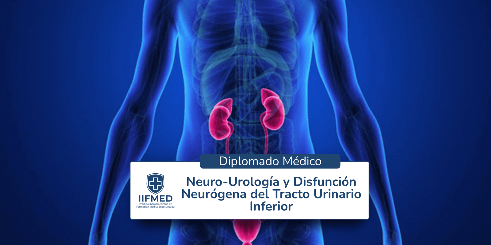 Diplomado en Neuro-Urología y Disfunción Neurógena del Tracto Urinario Inferior